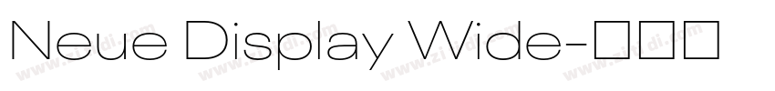 Neue Display Wide字体转换